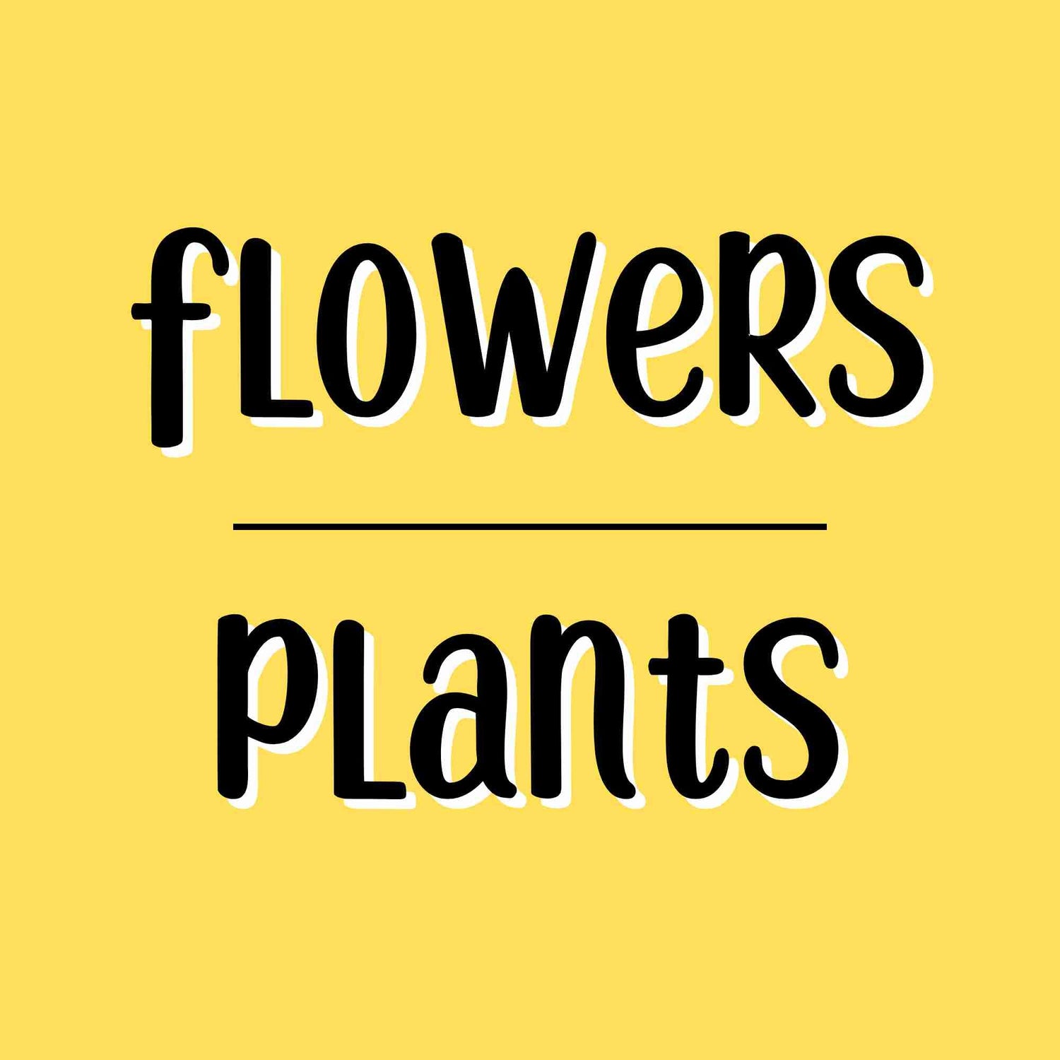 FLOWERS / PLANTS